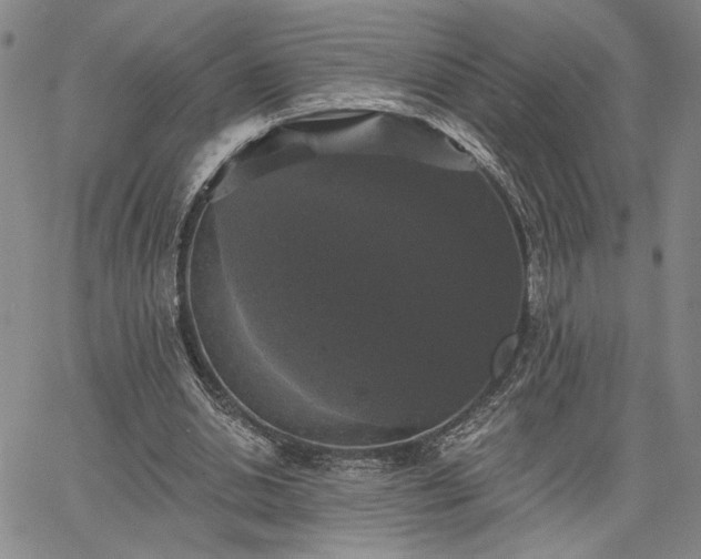 X0000067880438200604201247