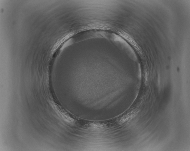 X0000067880442200604201247