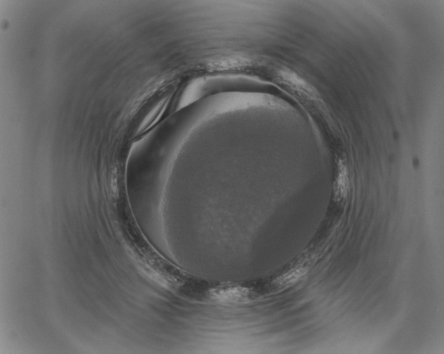 X0000067880452200604201247