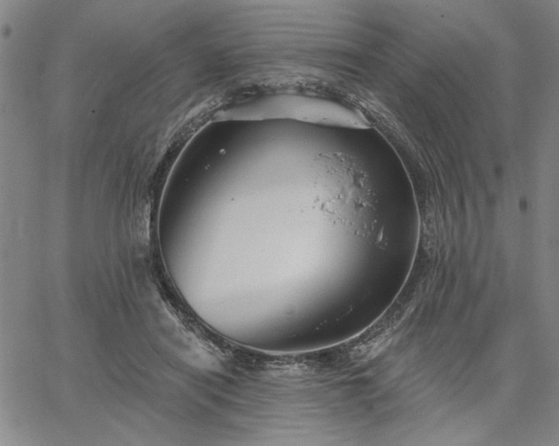X0000067880454200604201247