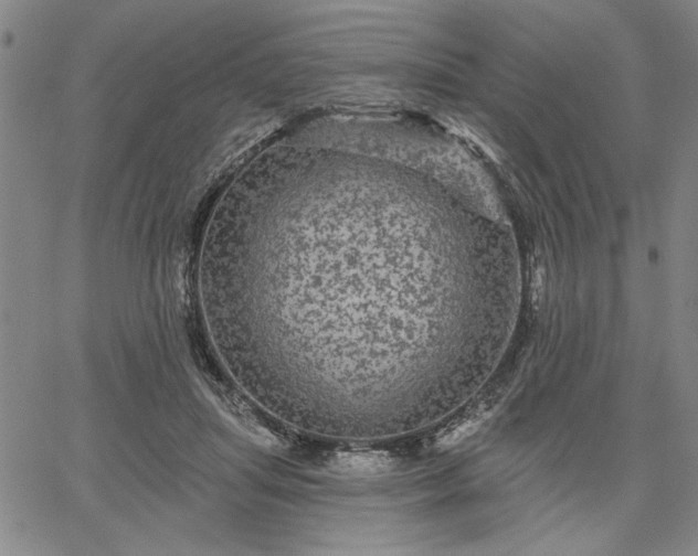 X0000067880455200604201247