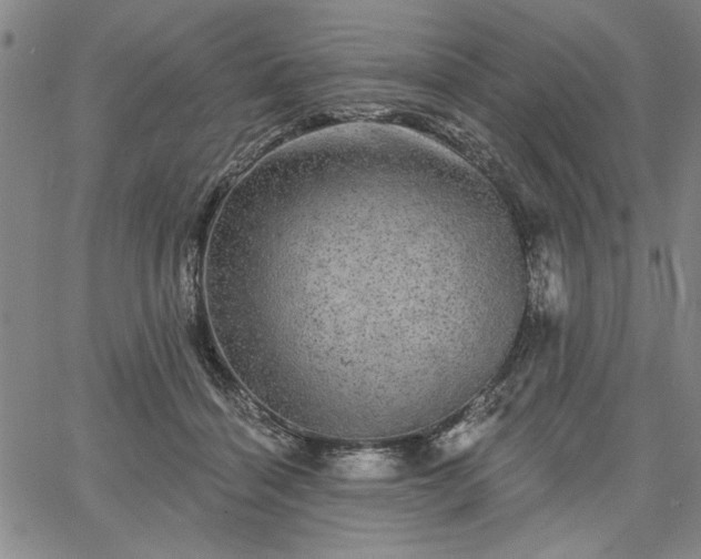 X0000067880460200604201248