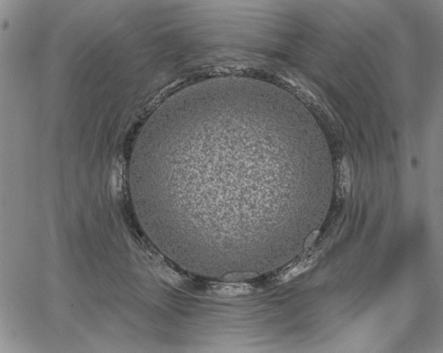 X0000067880463200604201248