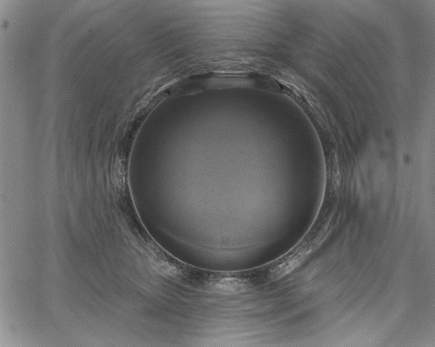 X0000067880467200604201248