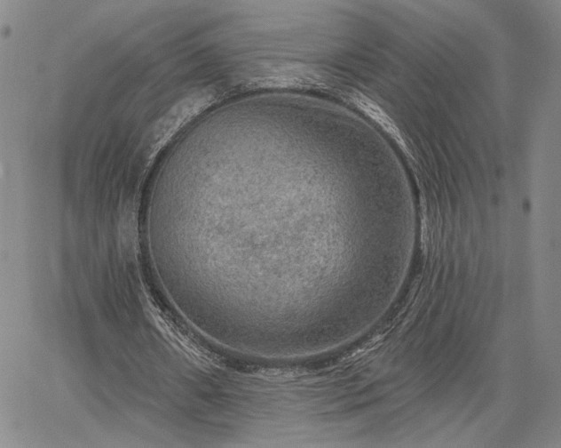 X0000067880482200604201247