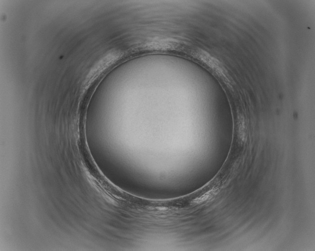X0000067880486200604201247