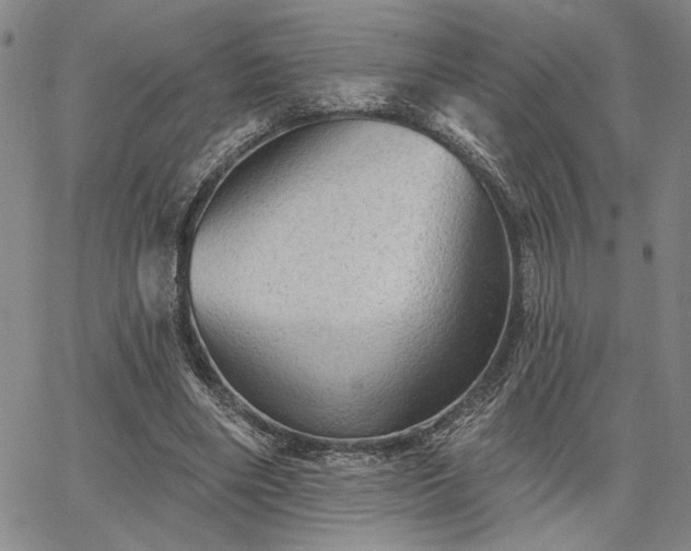X0000067880490200604201247