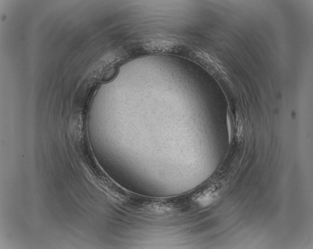 X0000067880498200604201247