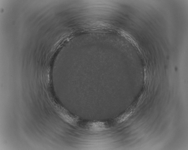 X0000067880501200604201247