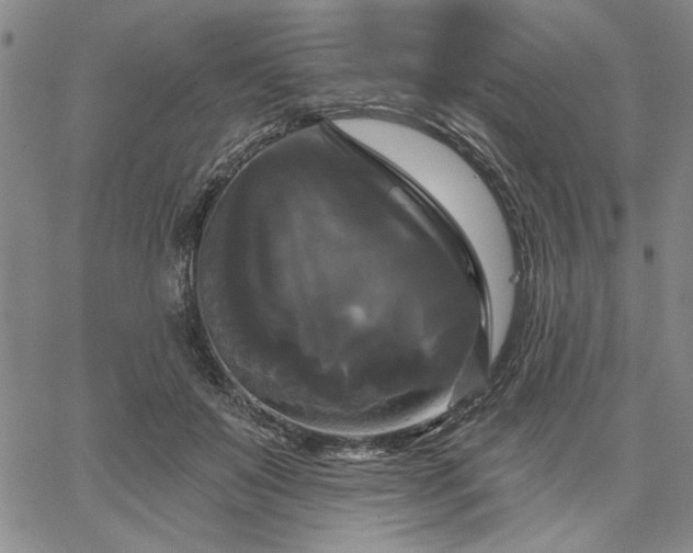 X0000067880503200604201247