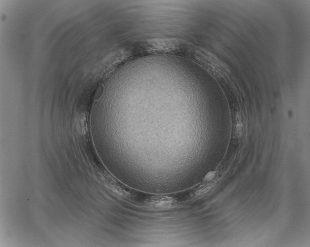 X0000067880514200604201247
