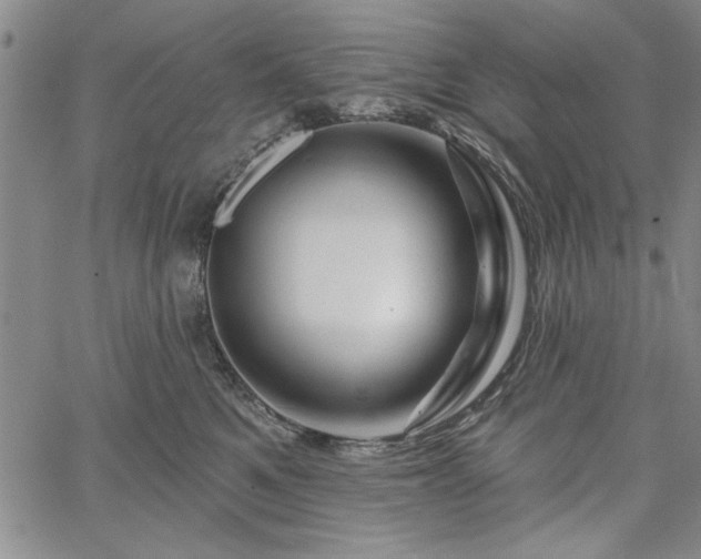 X0000067880521200604201246