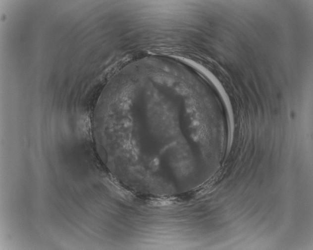 X0000067880523200604201246
