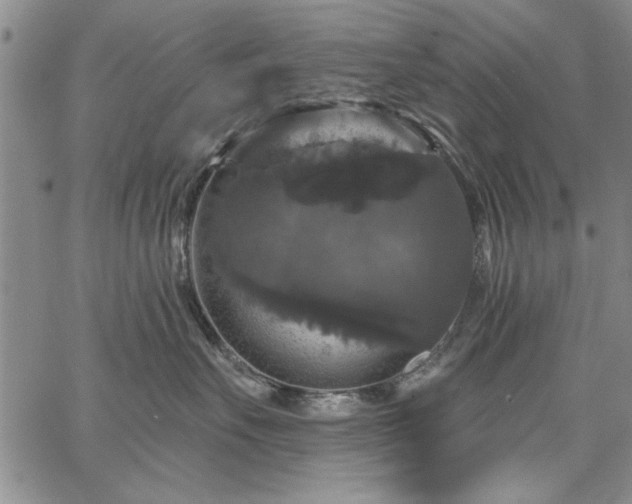 X0000067880527200604201246
