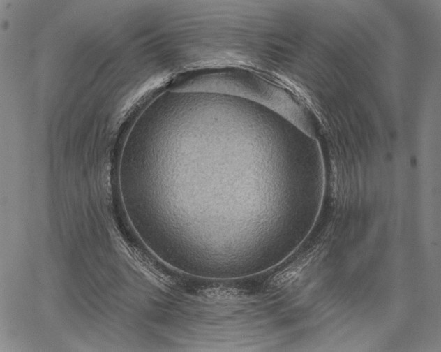 X0000067880535200604201246
