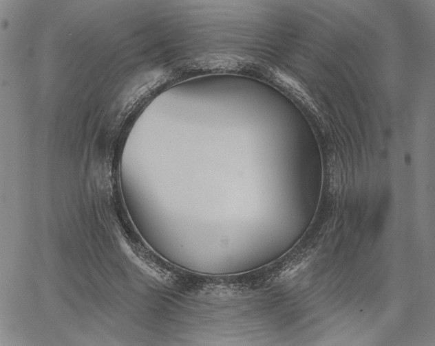 X0000067880538200604201246
