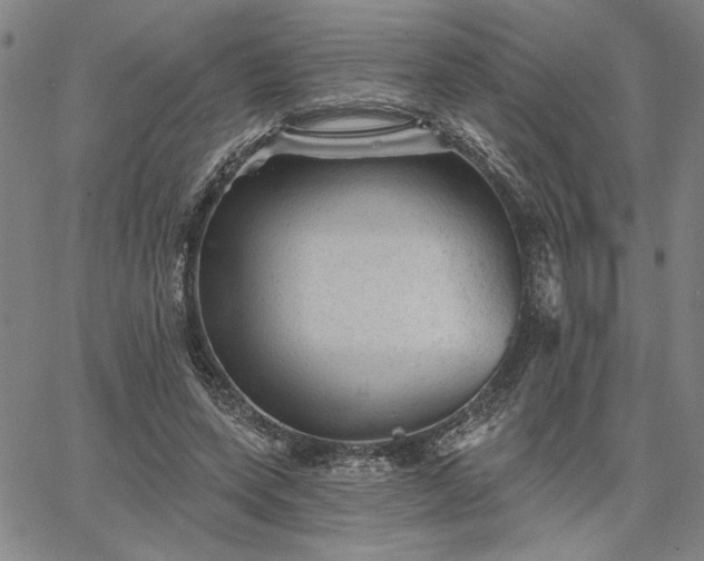 X0000067880543200604201246