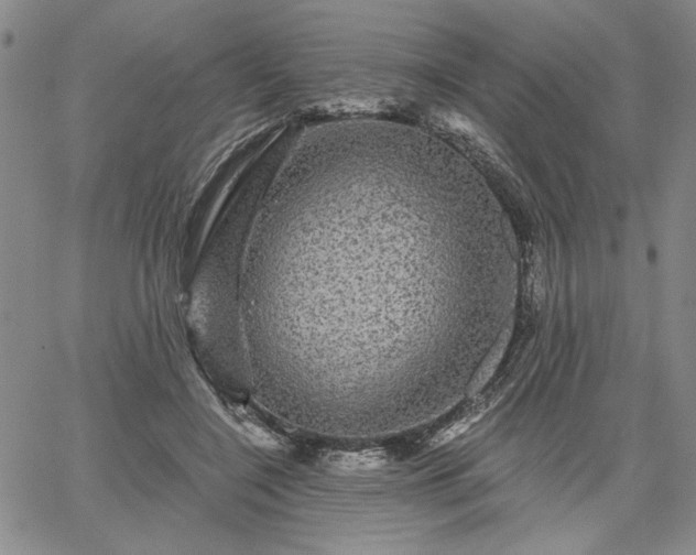 X0000067880548200604201246