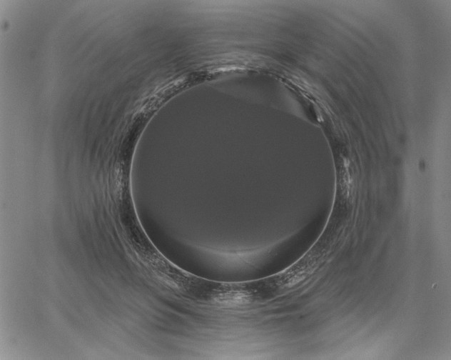 X0000067880551200604201246