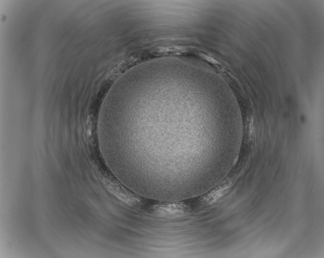 X0000067880567200604201246