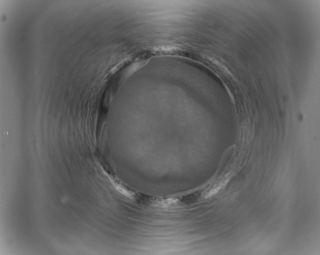 X0000067880576200604201246