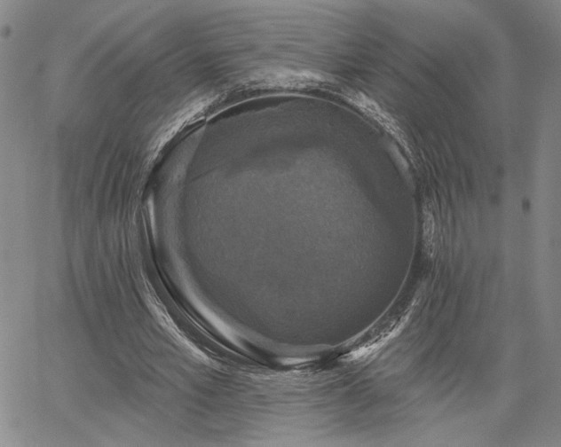 X0000067880581200604201245
