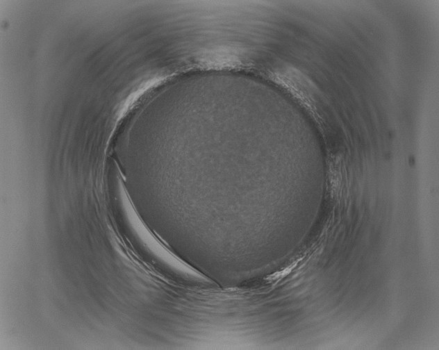 X0000067880583200604201245