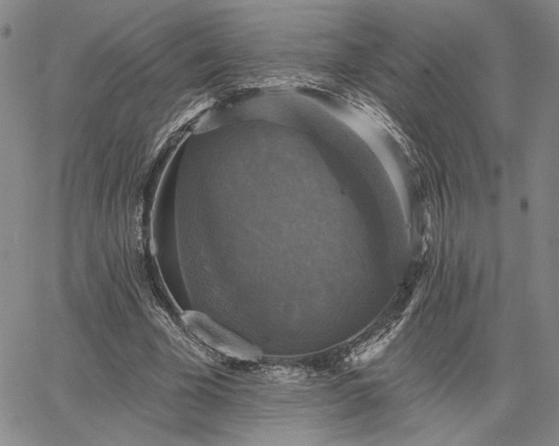 X0000067880585200604201245
