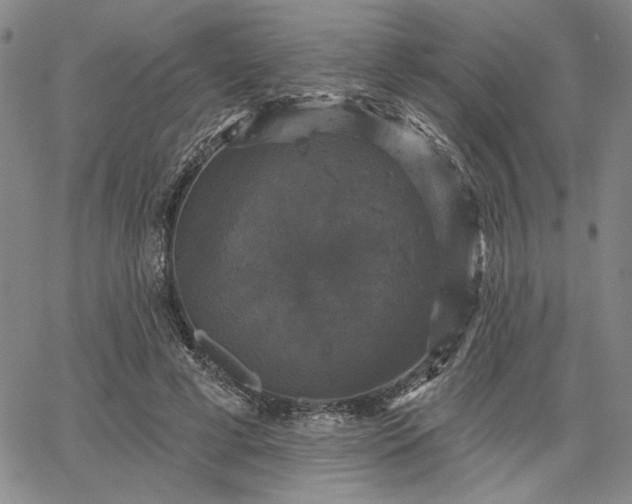 X0000067880593200604201245