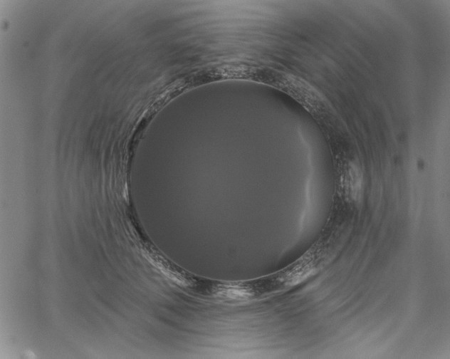X0000067880610200604201245