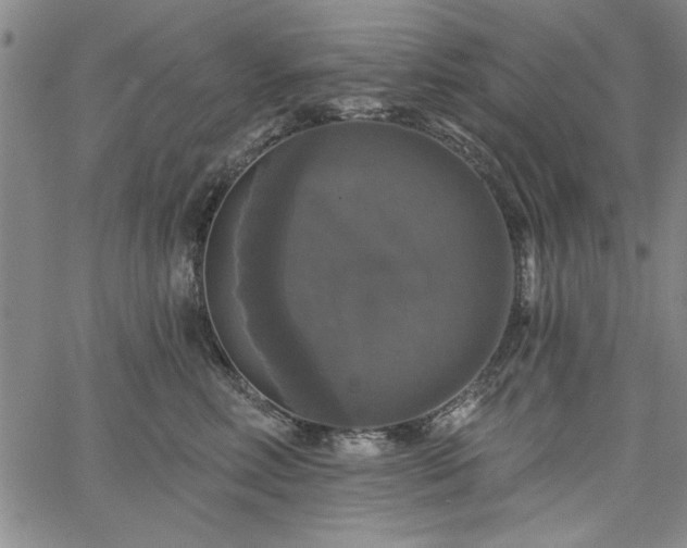 X0000067880618200604201245