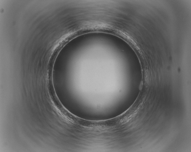 X0000067880629200604201244