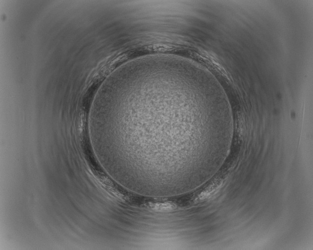 X0000067880645200604201244