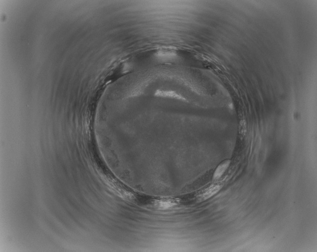 X0000067880662200604201245