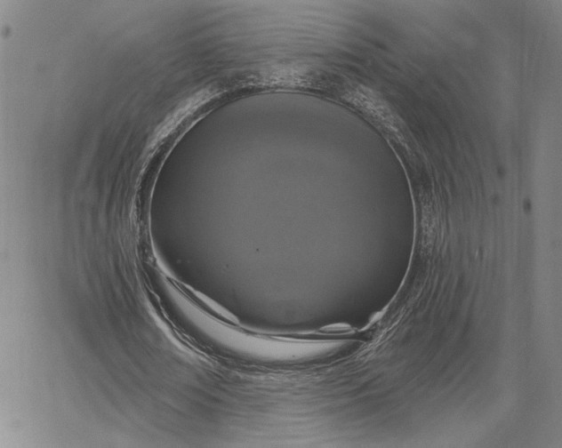 X0000067880674200604201244