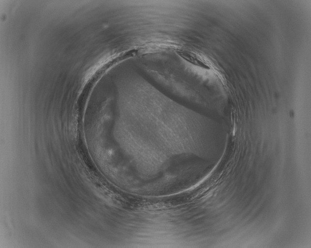 X0000067880675200604201244