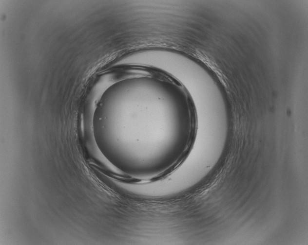 X0000067880681200604201244