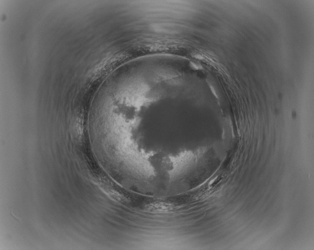 X0000067880691200604201244