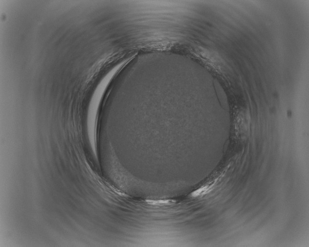 X0000067880693200604201244