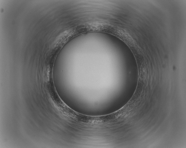 X0000067880694200604201244