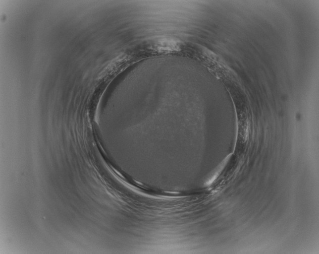 X0000067880704200604201243
