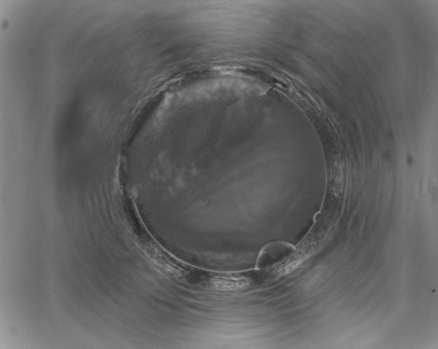 X0000067880707200604201243