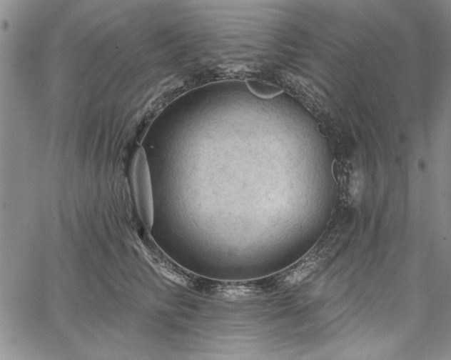 X0000067880710200604201243
