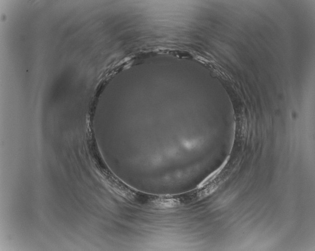 X0000067880711200604201243
