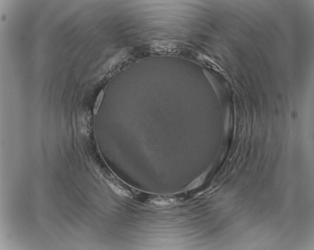 X0000067880712200604201243