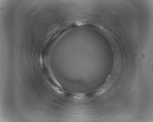X0000067880720200604201243