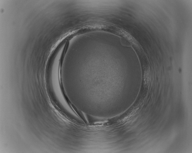 X0000067880722200604201242