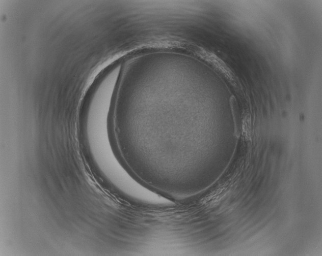 X0000067880724200604201242