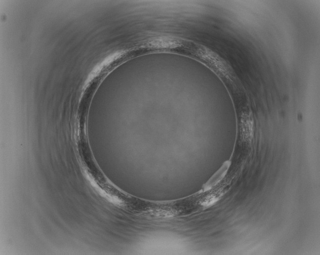 X0000067880726200604201242