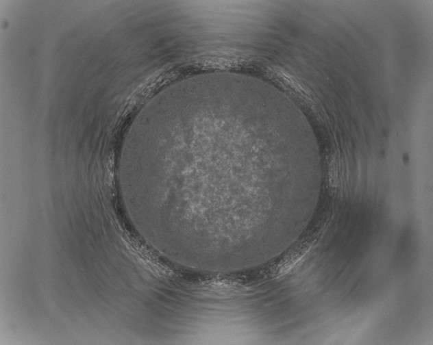 X0000067880737200604201243